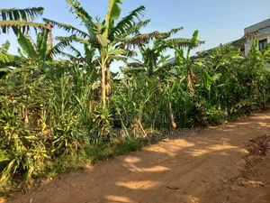 Kira Half an Acre Close to Main Road
