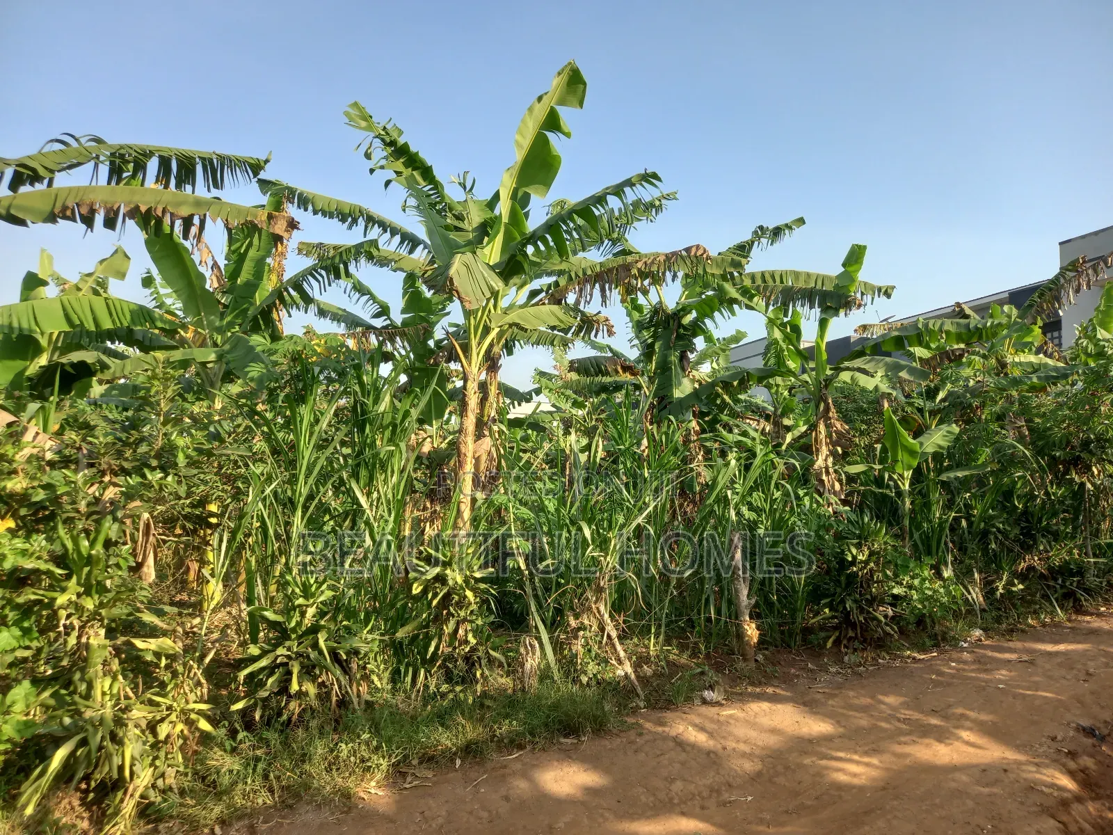 Kira Half an Acre Close to Main Road