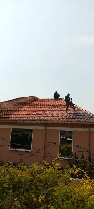 Experience Roof Tiles Cleaning in Progress Now