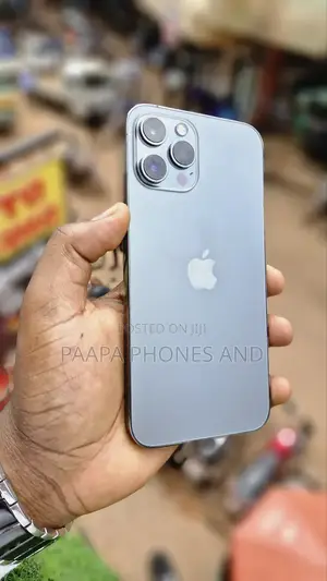 Apple iPhone 12 Pro Max 256 GB Gray