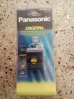 Panasonic Vw-Vbg260 Battery.