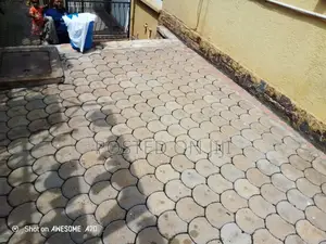 Paver Cleaning Services