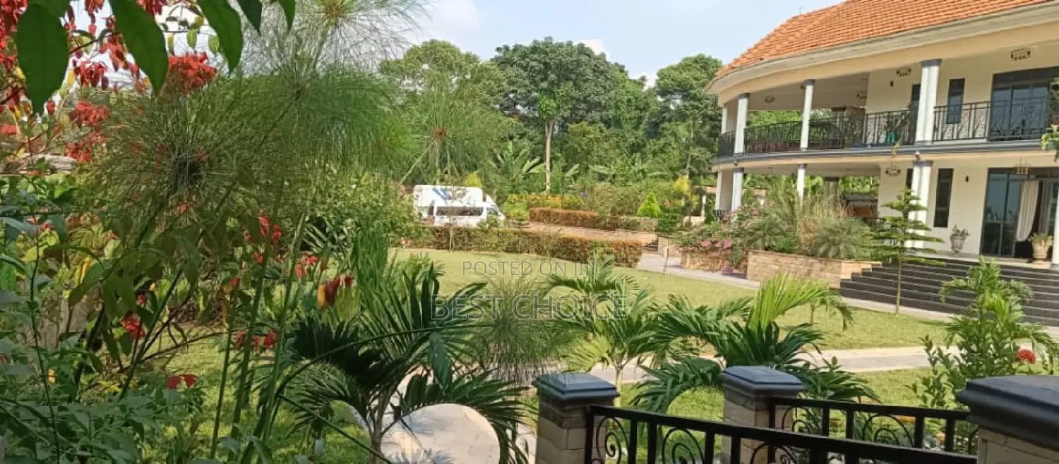 Beautiful Land Scaping and Compound Designing Here.