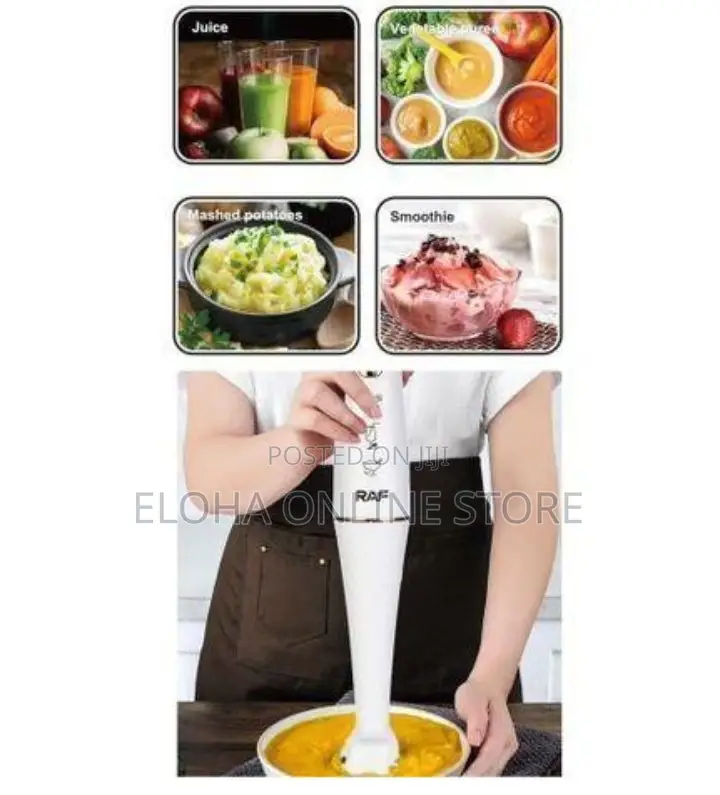 RAF 800W Hand Blender With Stainless Steel Blades