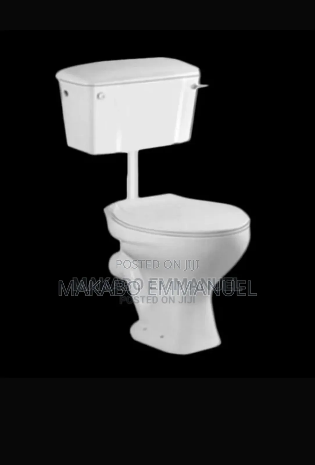 Ordinary Toilet