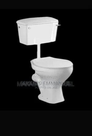 Ordinary Toilet