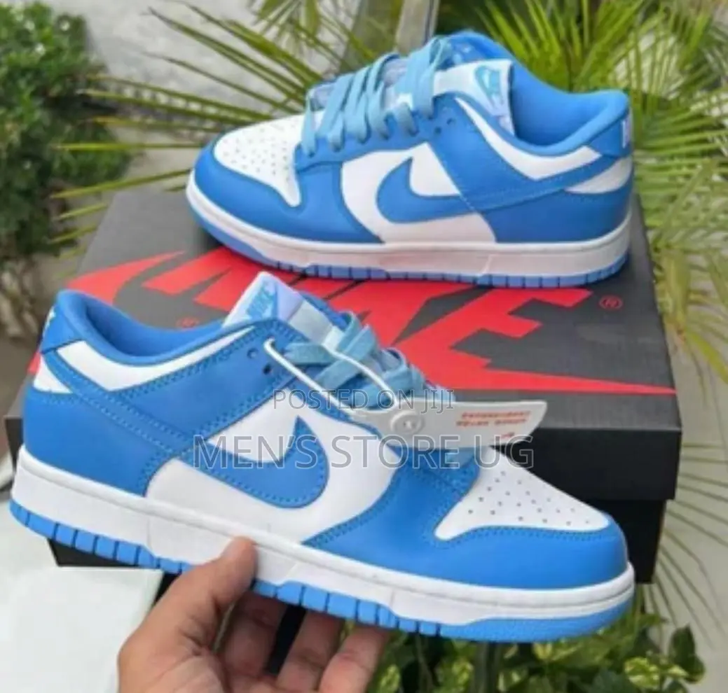 Nike Air Dunk Sb Low Blue And White