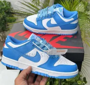 Nike Air Dunk Sb Low Blue And White