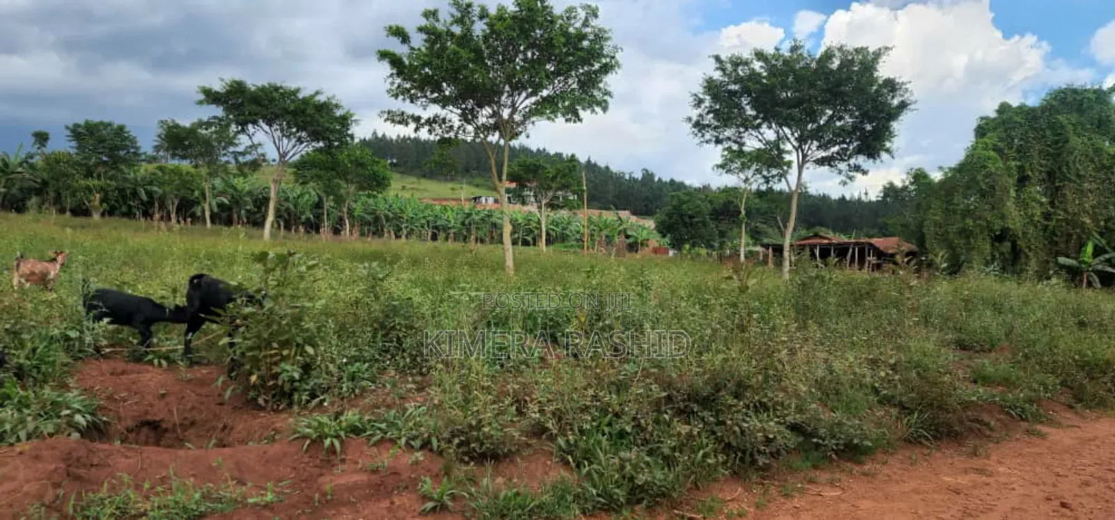 20bdrm Block of Flats in Kitebi, Rubaga for sale