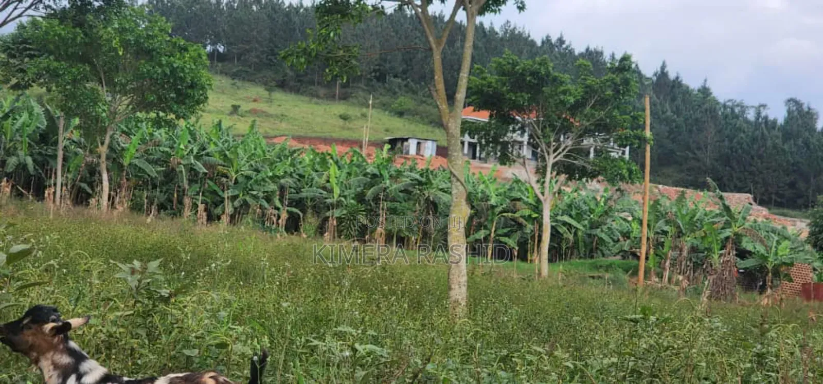 20bdrm Block of Flats in Kitebi, Rubaga for sale