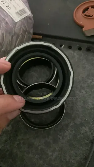 Oil Seals and Hydraulic Seals