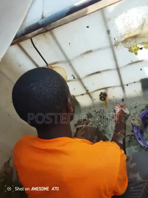 Tank Cleaning Services