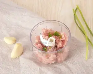Electric Mini Food Chopper