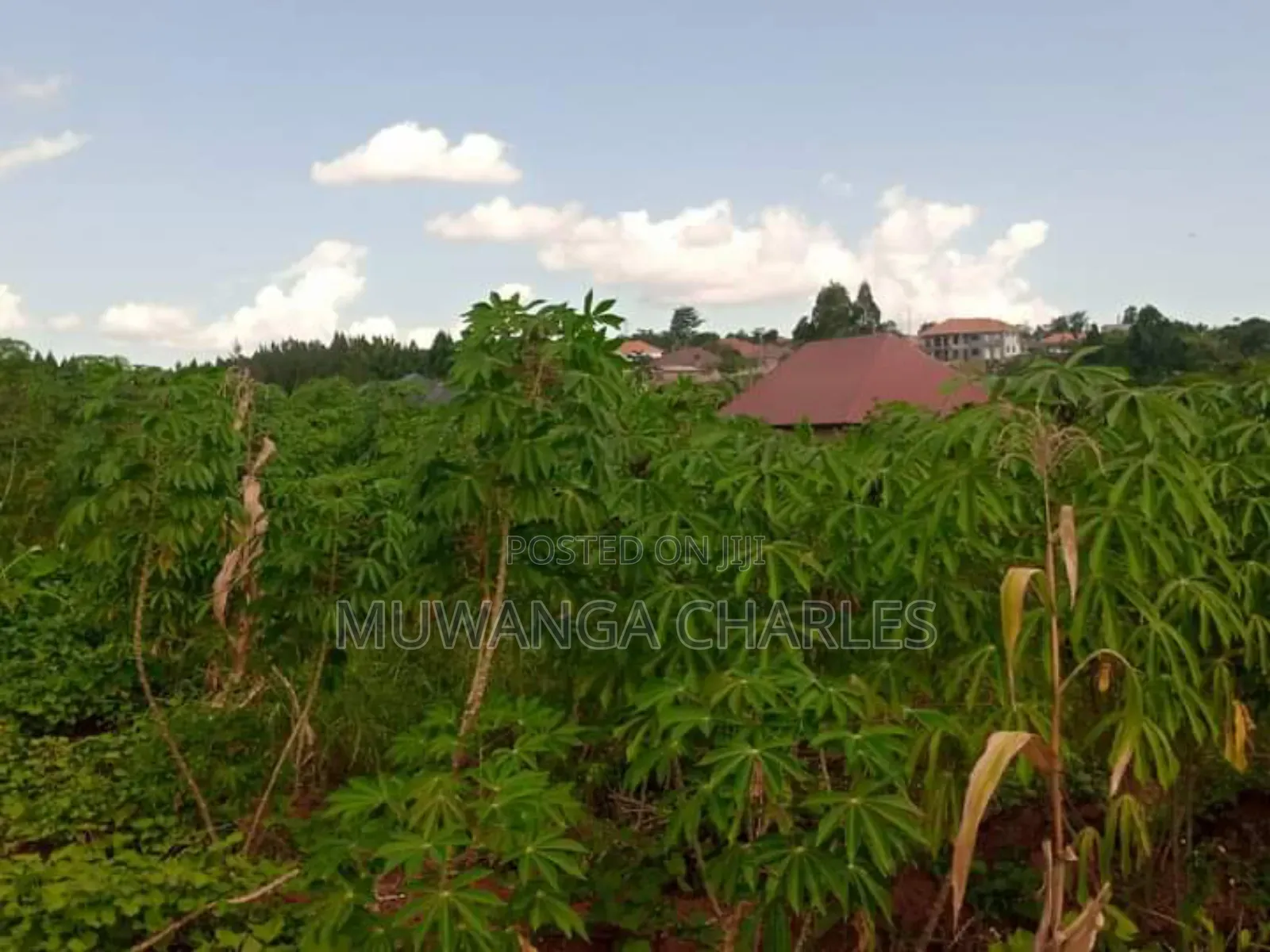 Plot for Sale in Kiwenda