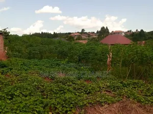 Plot for Sale in Kiwenda