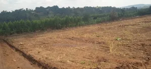 Plot for Sale in Kiwenda