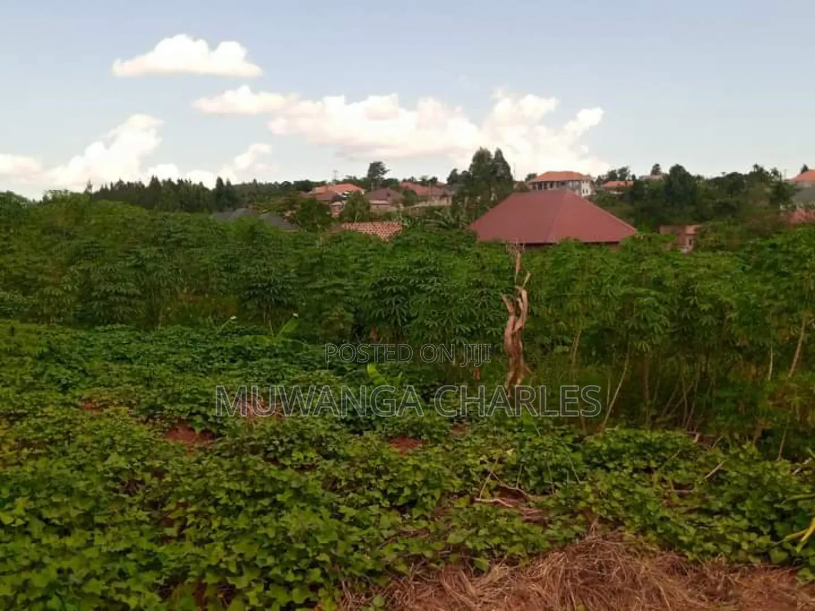 Plot for Sale in Kiwenda