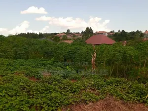 Plot for Sale in Kiwenda