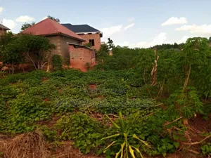 Plot for Sale in Kiwenda