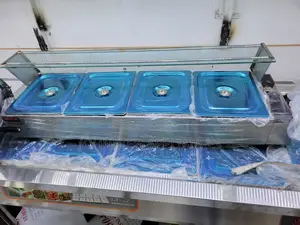 Multifunctional Electric Food Baine Marine