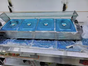 Multifunctional Electric Food Baine Marine