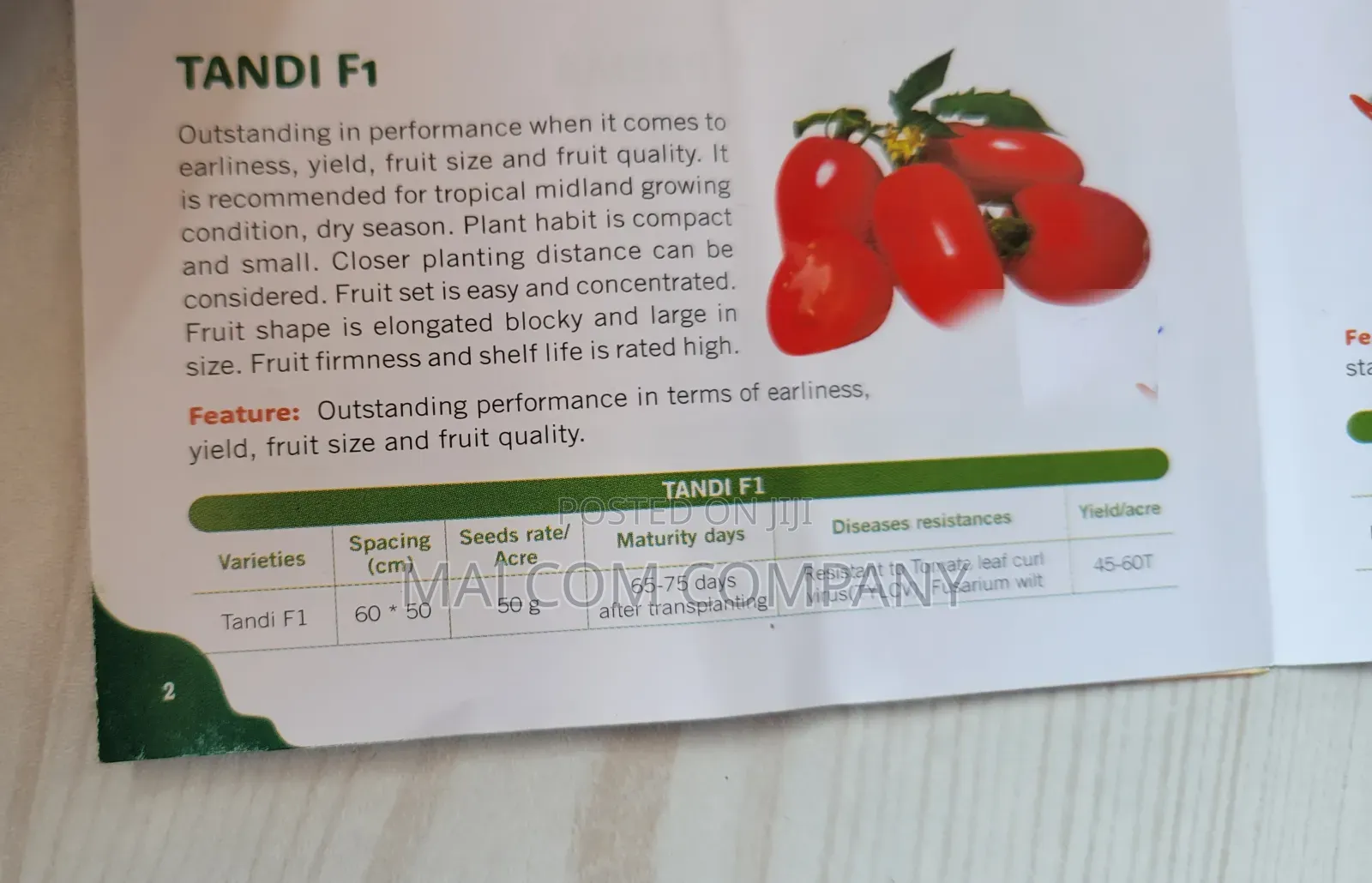 Tandi F1 Tomato Seeds 5g