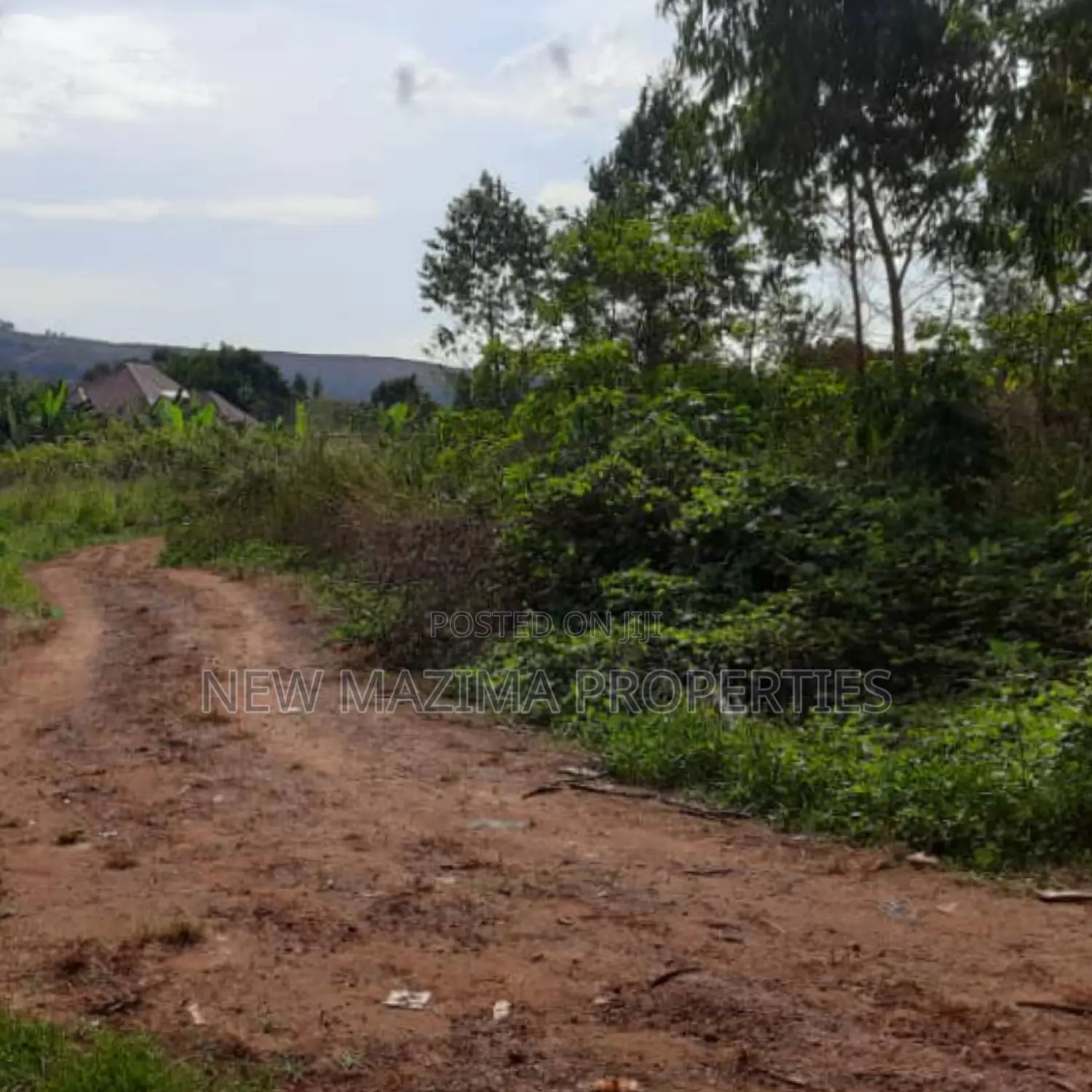 Two Acres Onquicksale in Mpigi Kabasanda With Readycut Title