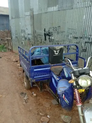 Tricycle 2023 Blue