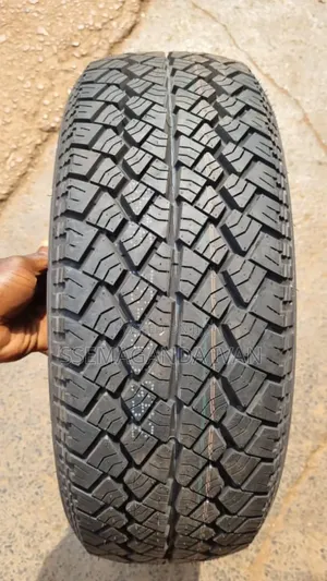 205/60r16 Stoney