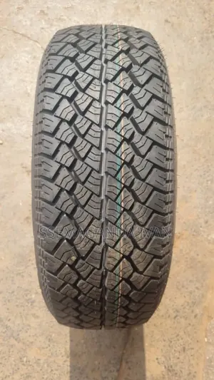 205/60r16 Stoney