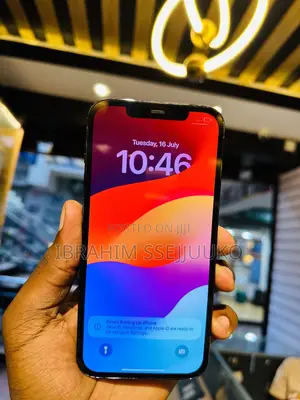 Apple iPhone 12 Pro Max 256 GB Blue