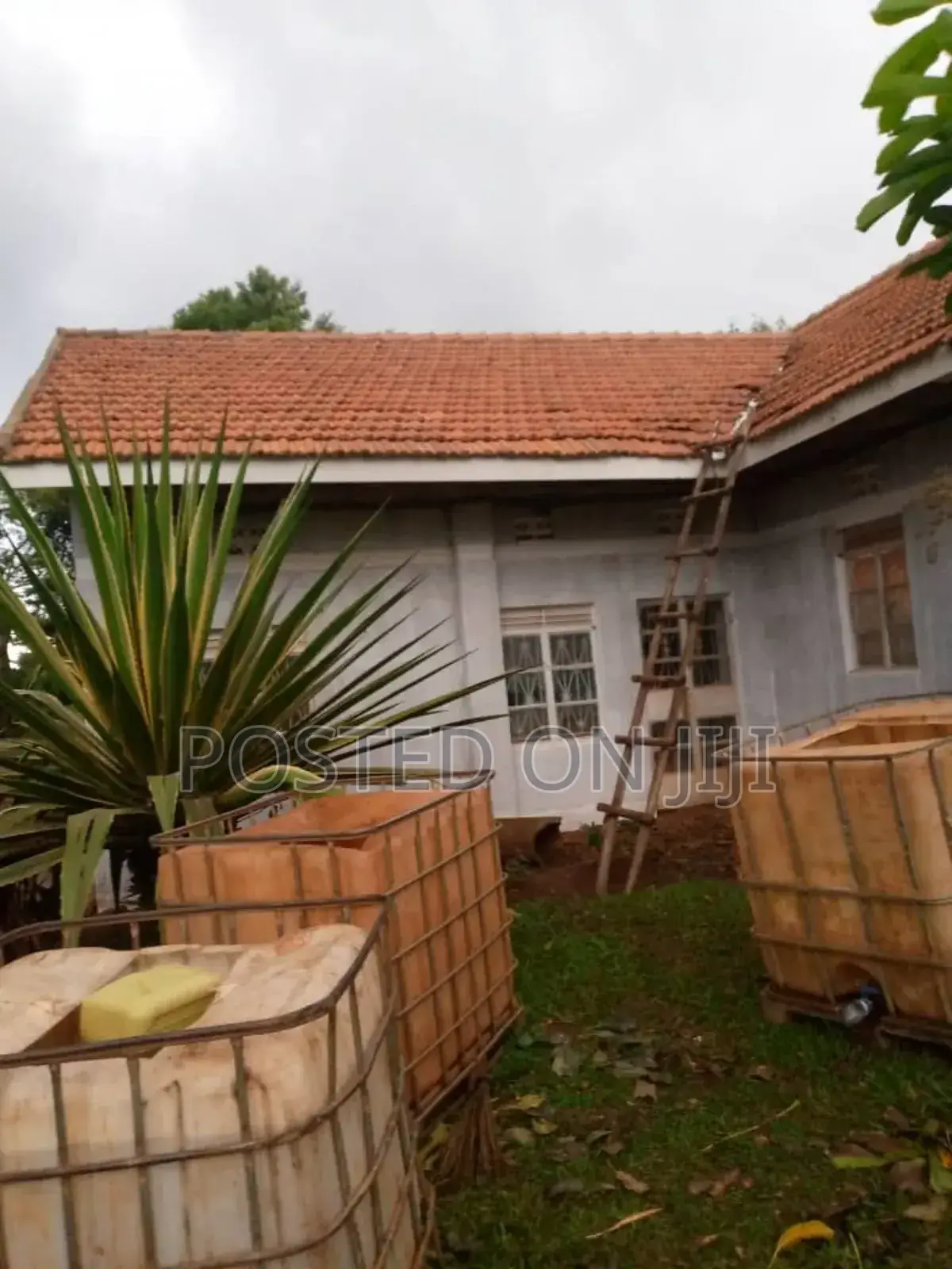 Roof Tile Cleaning Services