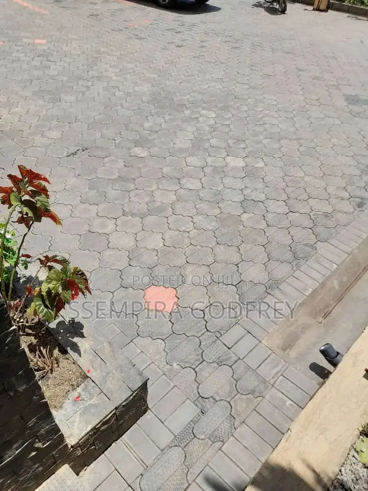 Contact for the Best Paver Laying With Beauty and Curiosity