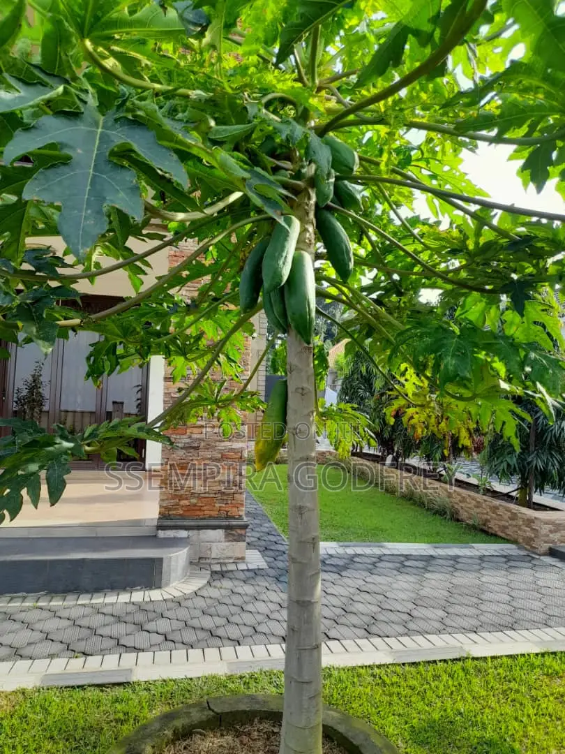 Expect in Paver Laying and Land Scanping