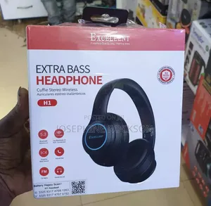 Headphones/Excellent Headphone