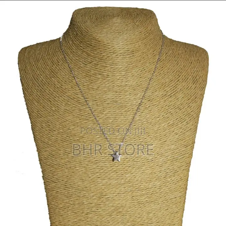 Simple Stylish Necklace