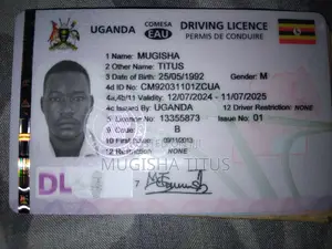 Driver/ Instructor