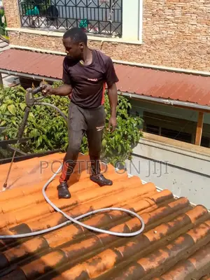 Roof Cleaning Services