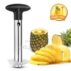 Stranded Pineapple Cutter