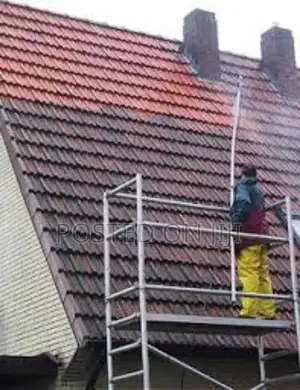 Roof Cleaning Services