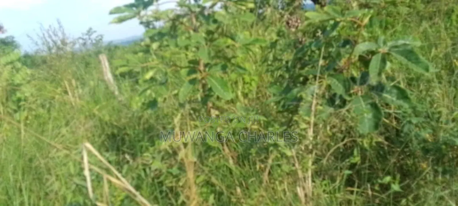 Land for Sale in Kikyusa