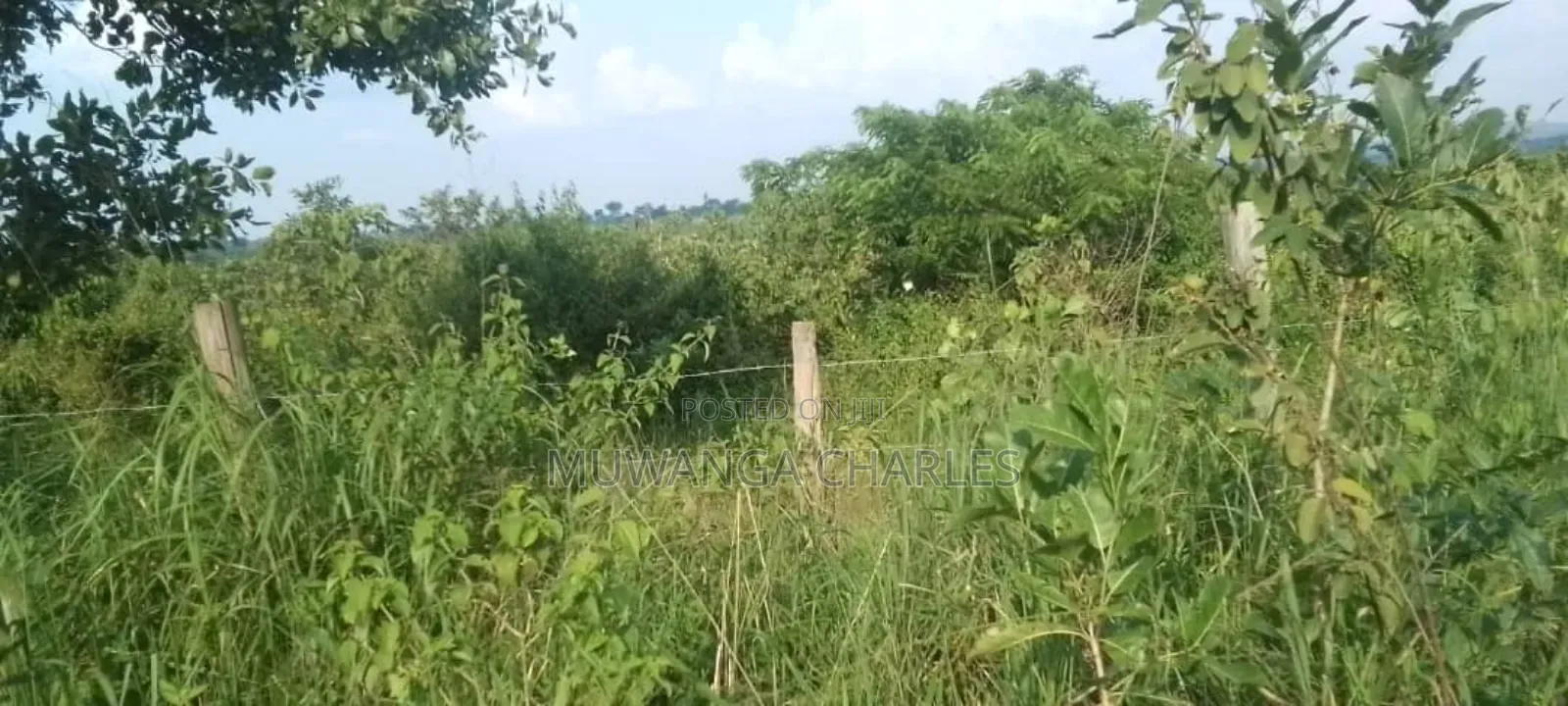 Land for Sale in Kikyusa