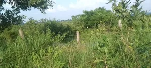 Land for Sale in Kikyusa