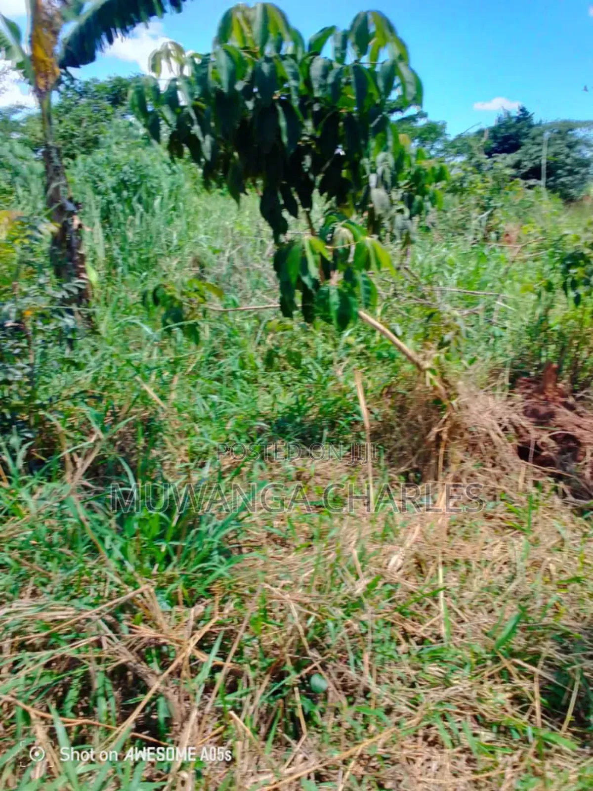 Land for Sale in Kikyusa