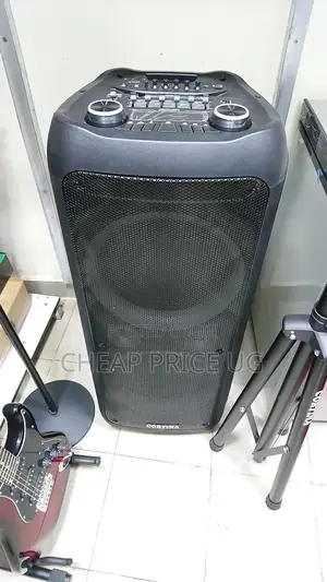 12 Inches Cortina Dual Speaker With 2 Microphones