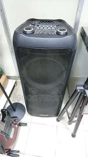 12 Inches Cortina Dual Speaker With 2 Microphones