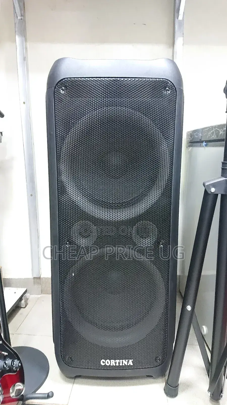 12 Inches Cortina Dual Speaker With 2 Microphones