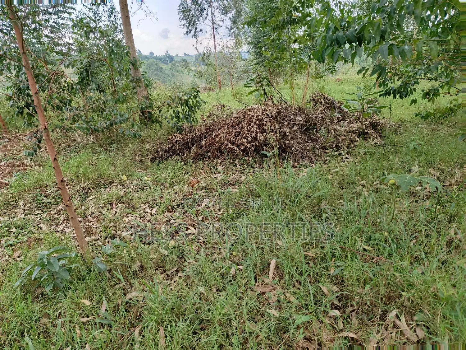 6acres of Land on Sale Located in Rugombe Town Council