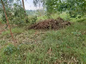 6acres of Land on Sale Located in Rugombe Town Council