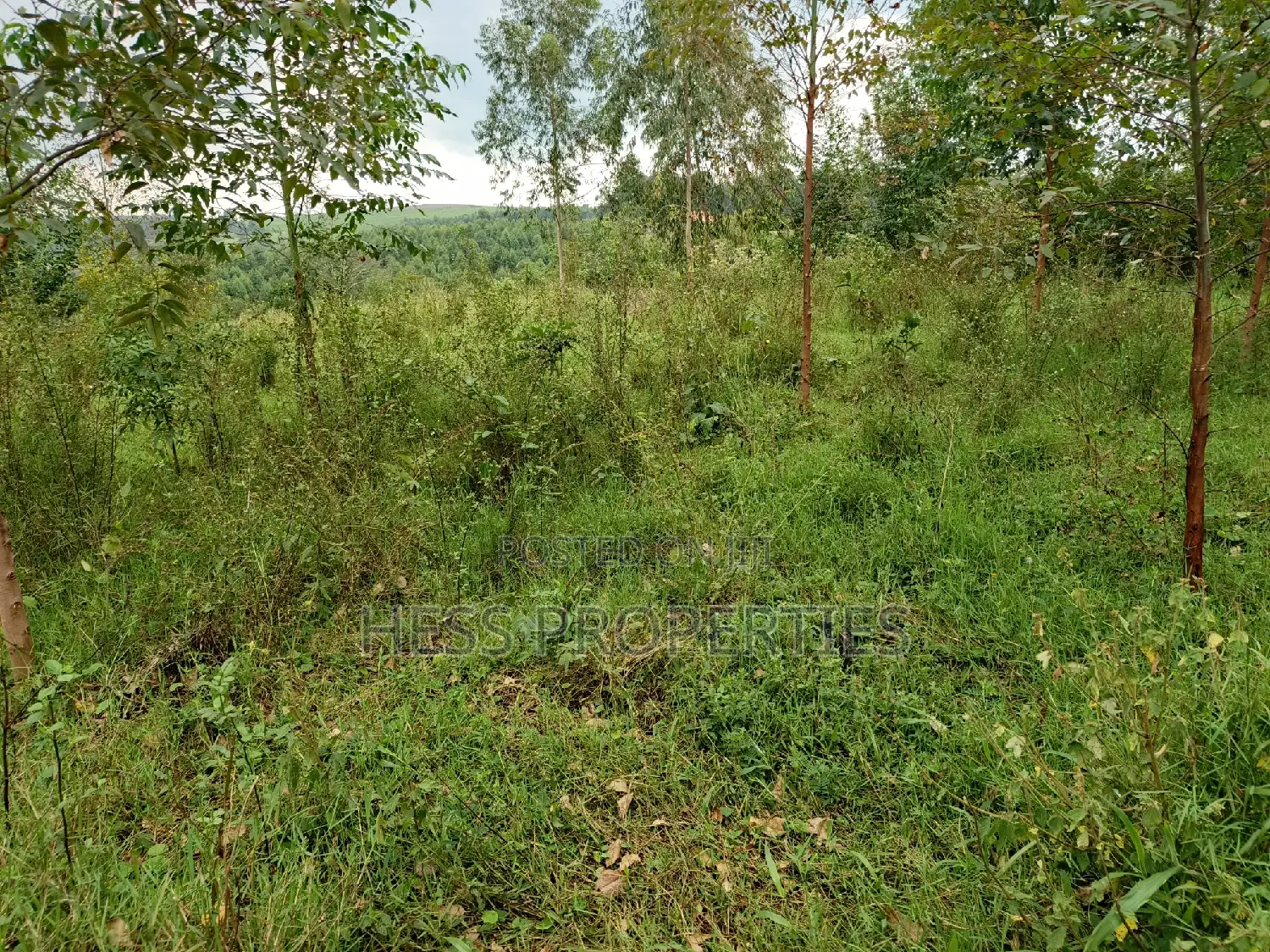 6acres of Land on Sale Located in Rugombe Town Council